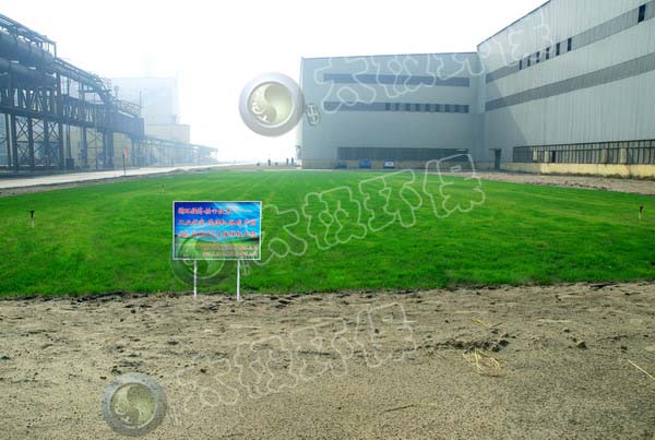 太極|環保|脫硫|脫銷