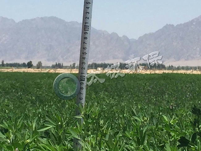 1465373271110182.jpg bgyjd1.jpg