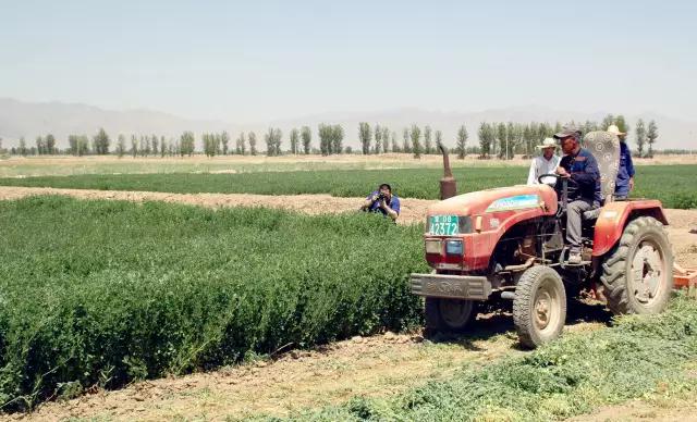 1496902776892694.jpg _201706081.jpg