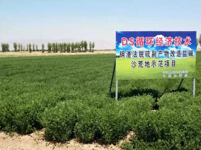 1496902807674006.jpg 201706082.jpg